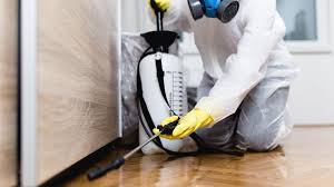 Best Bed Bug Extermination  in Rancho Cordova, CA